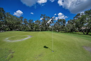 Golf Course5