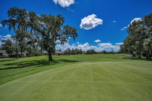 Golf Course6