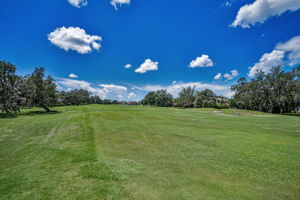 Golf Course7