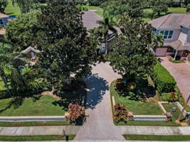 Aerial (1)