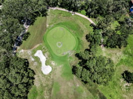 Aerial (15)
