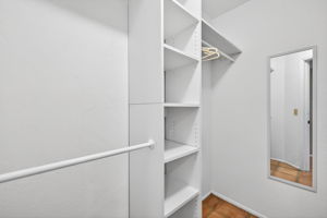 Primary Closet