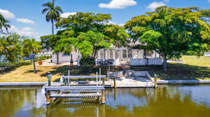 Aerial Dock