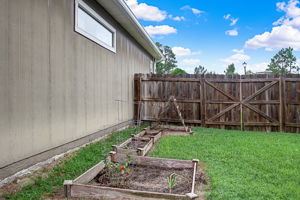 Side Yard