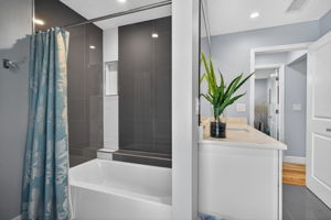 Guest Bathroom 2 of 2