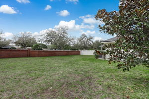 Backyard