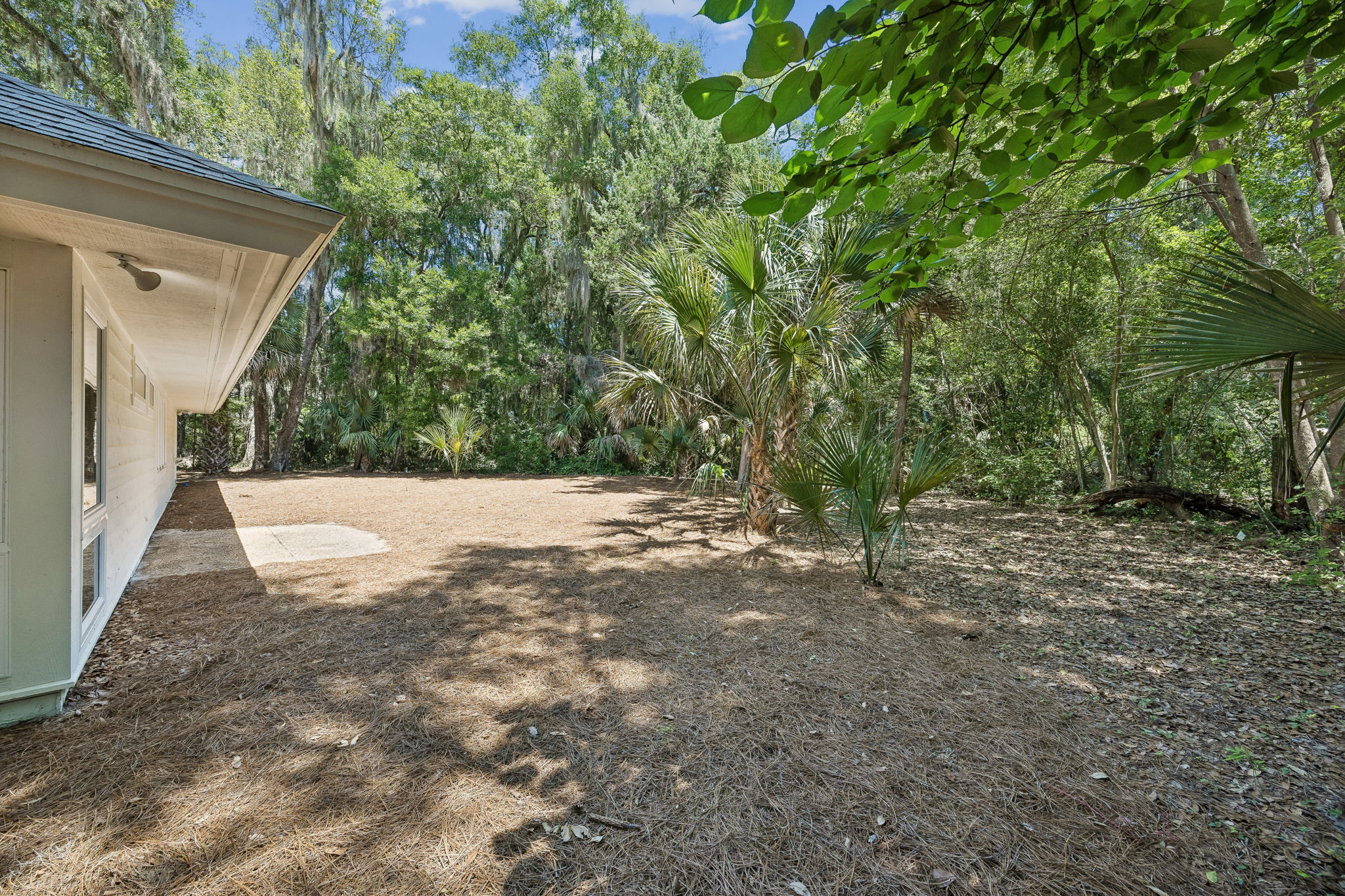 Backyard