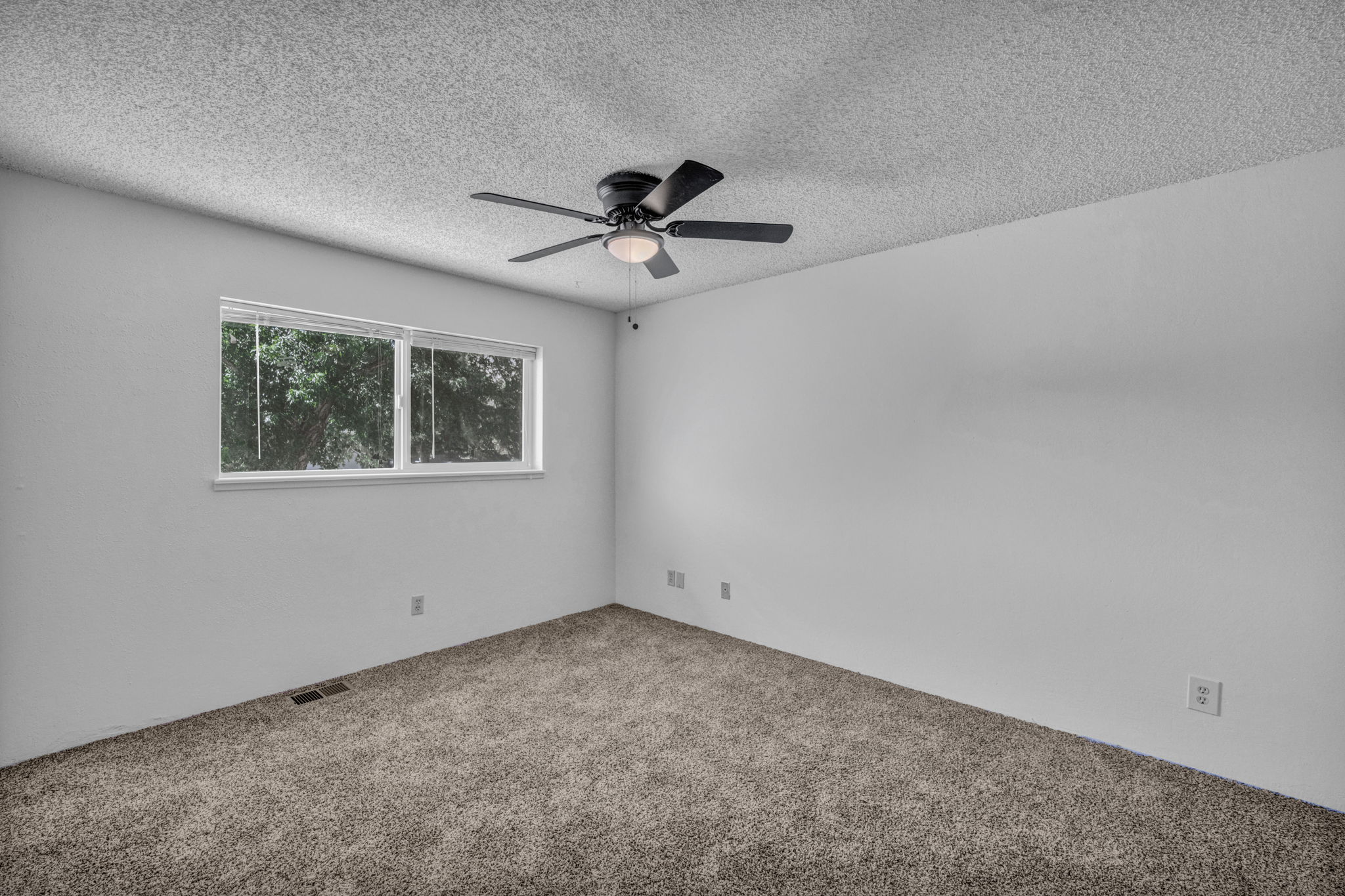 123 Broadleaf Ln_46