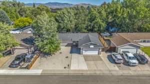 123 Broadleaf Ln