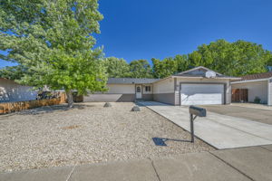 123 Broadleaf Ln_53