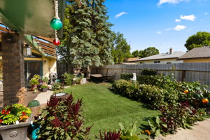  Photo 45