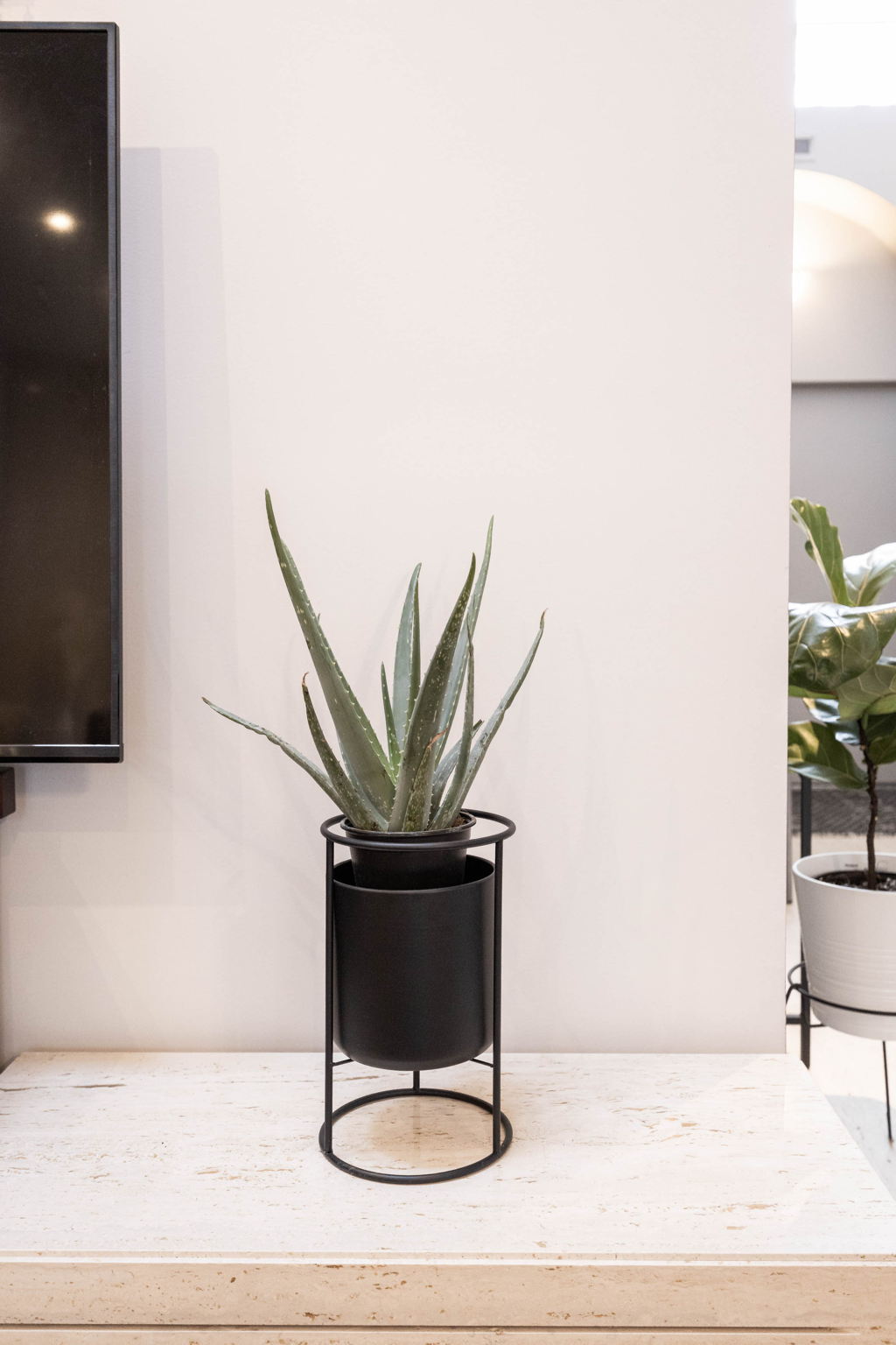 Toronto property showcase — delivered property photograph 39