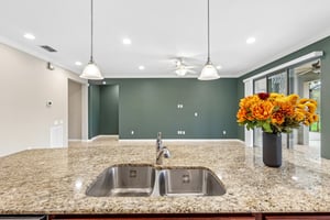 Magellan Ct-S0910-014.jpg