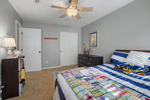  Photo 43
