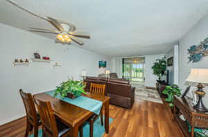 Dining & Living Room