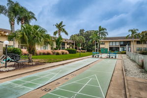 Shuffleboard