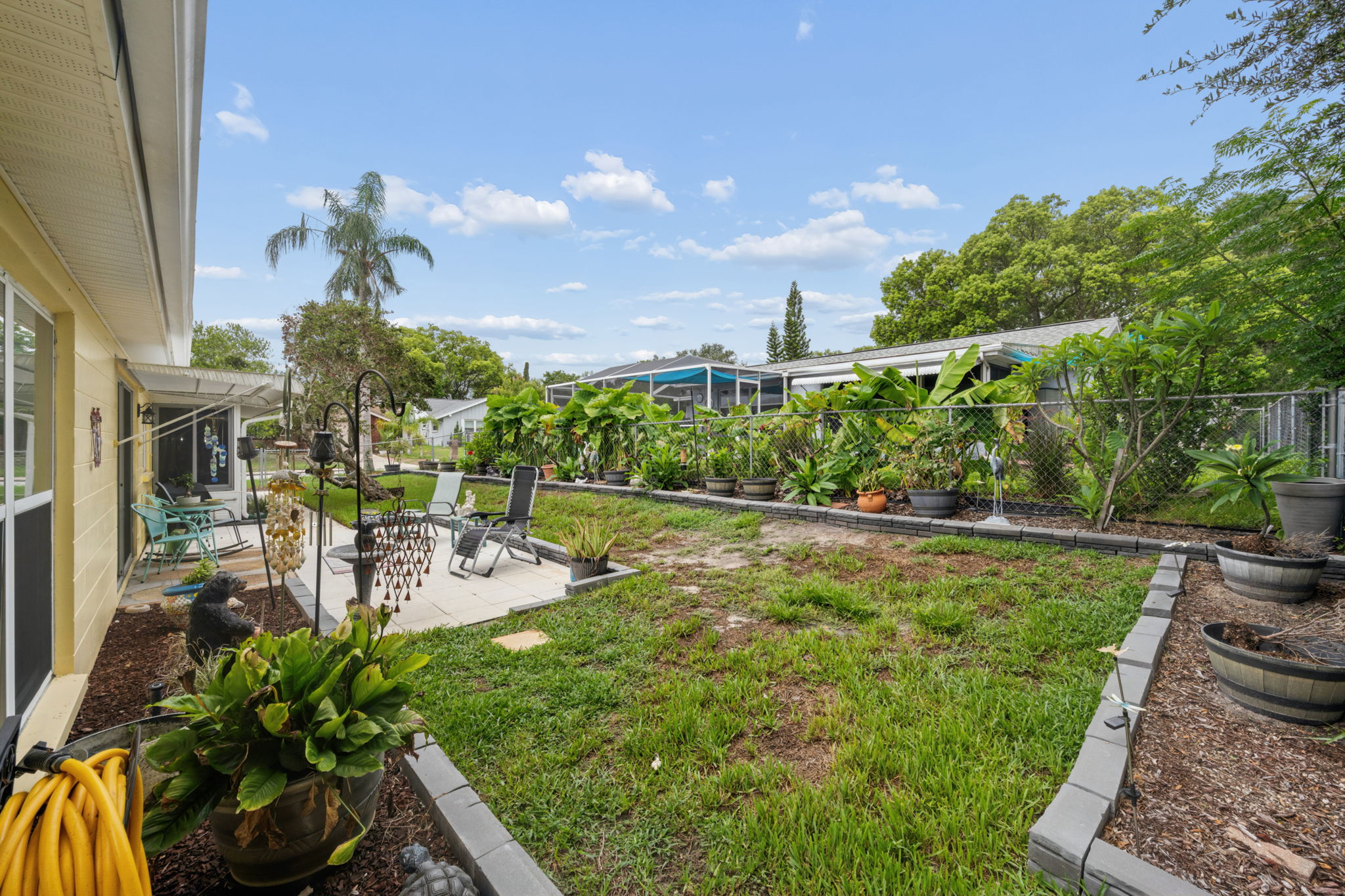 Backyard__4