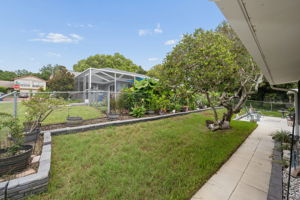 Backyard__1