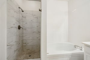 Walk in Shower & Garden Tub