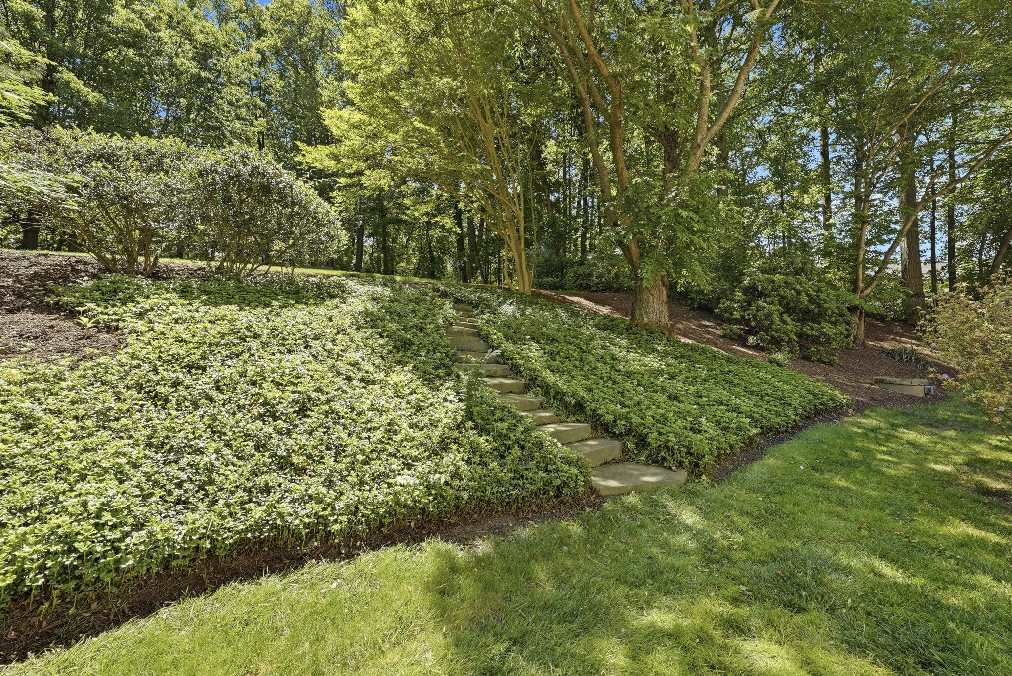 STEPS TO UPPER BACKYARD AND SHED