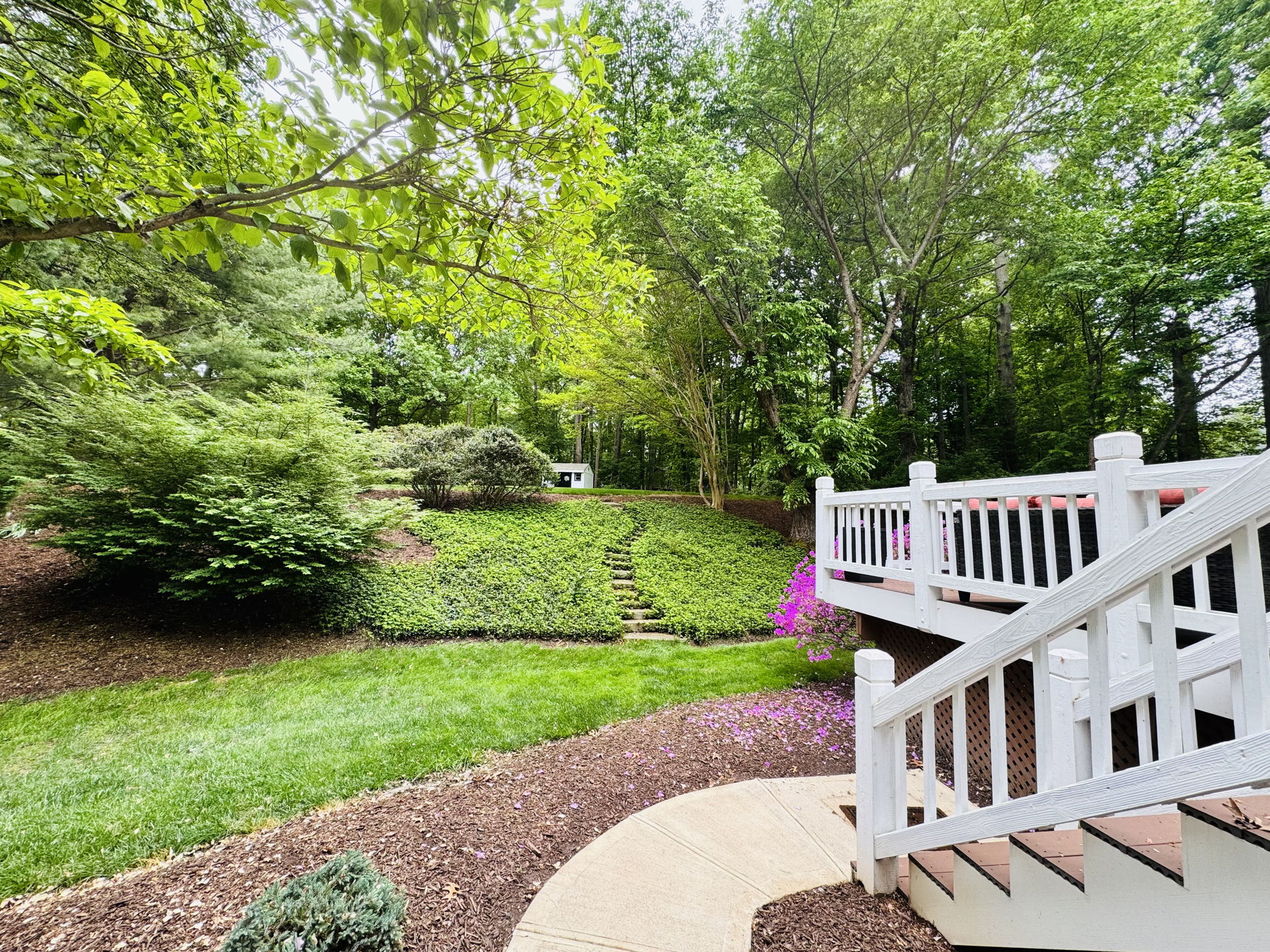 PRIVATE BACKYARD