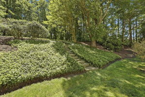 STEPS TO UPPER BACKYARD AND SHED
