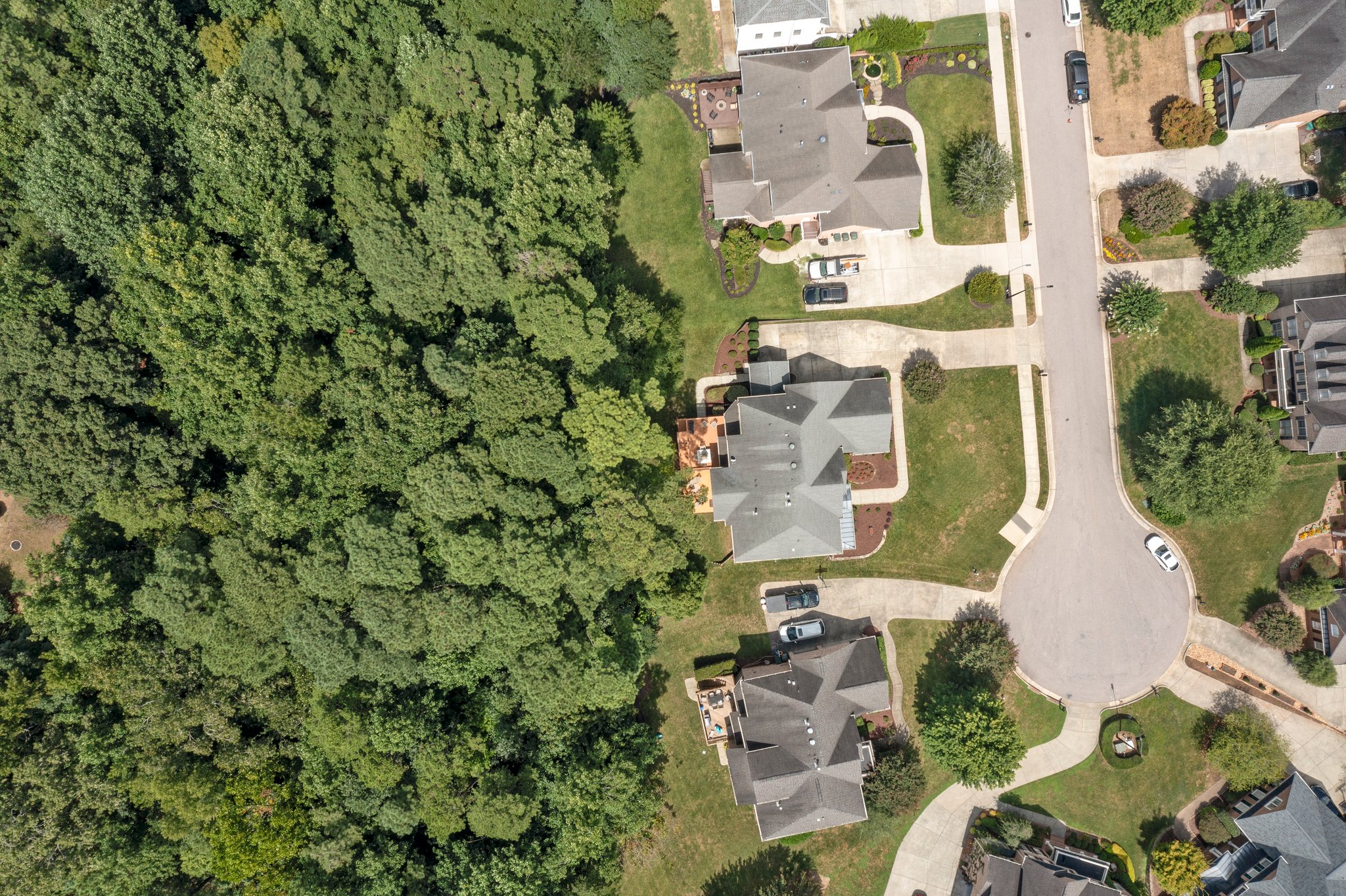 12309 Canolder St, Raleigh, NC 27614, USA Photo 16
