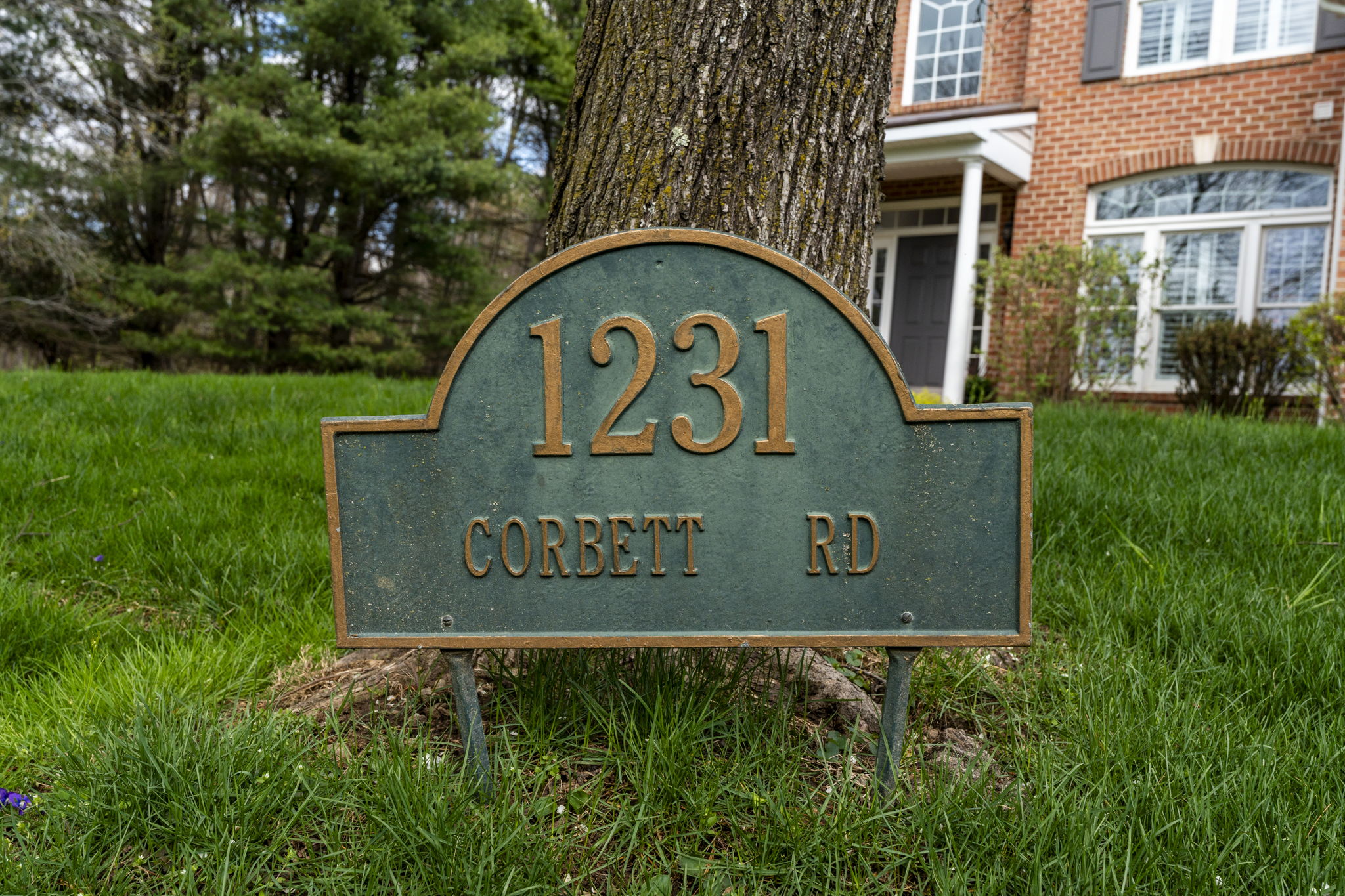 Corbett 121
