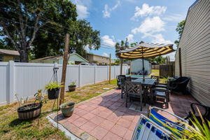 Backyard 1