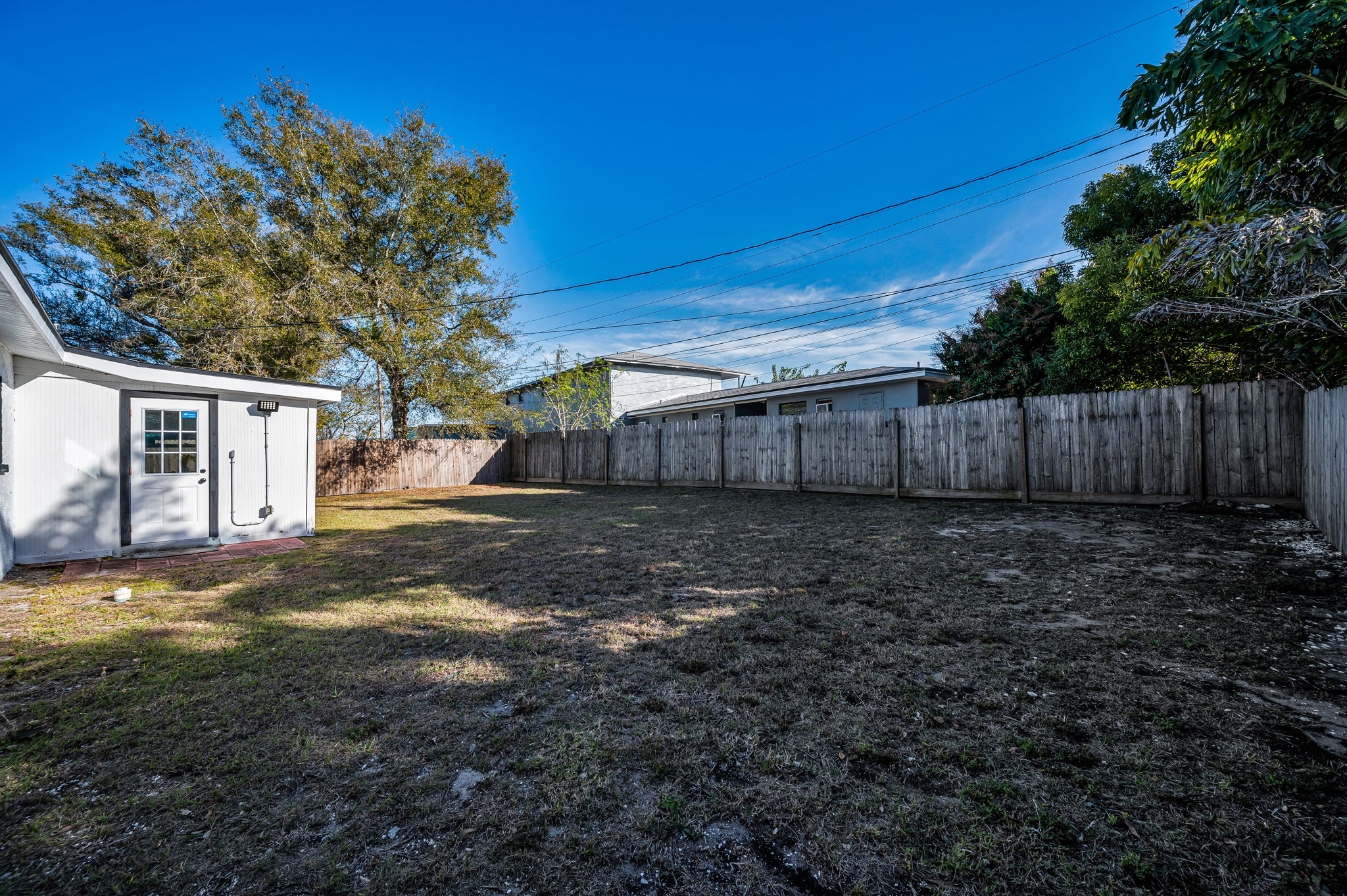 Backyard1