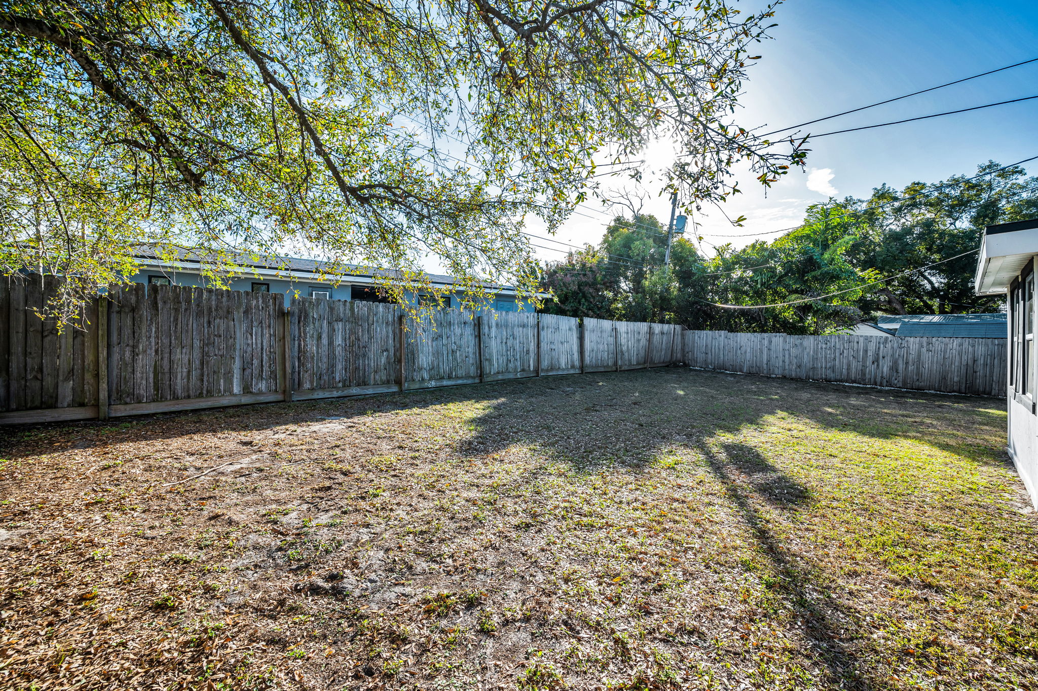 Backyard4