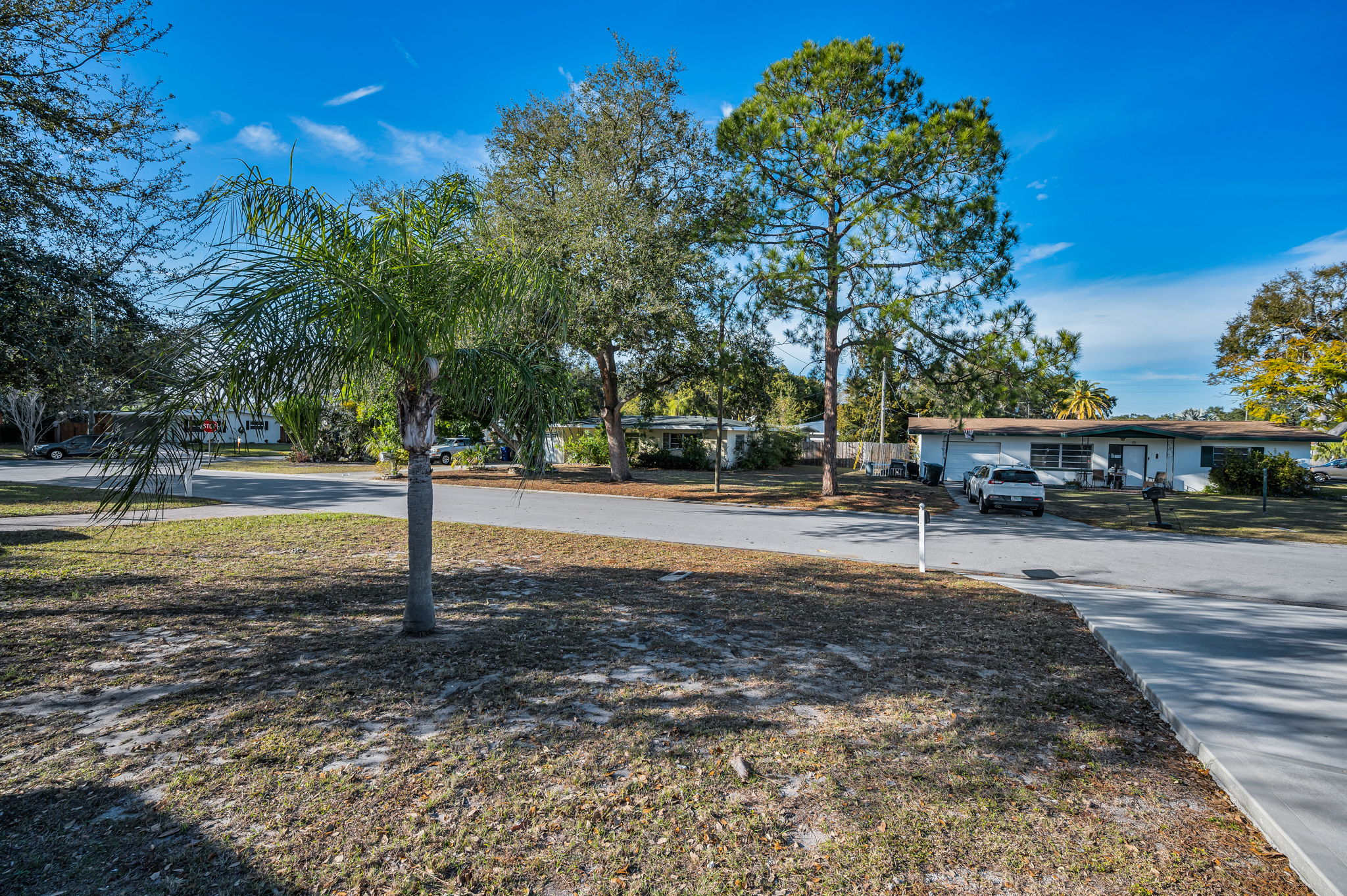 Frontyard