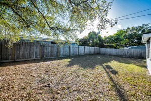 Backyard4