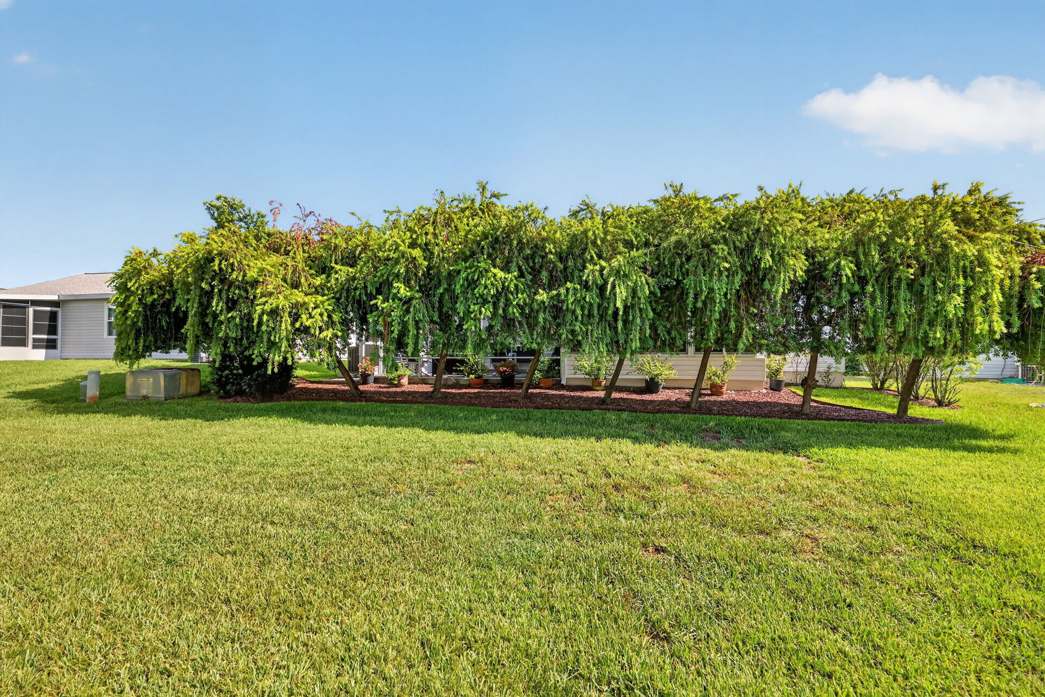 Rear PRIVACY Landscaping