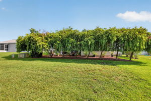 Rear PRIVACY Landscaping