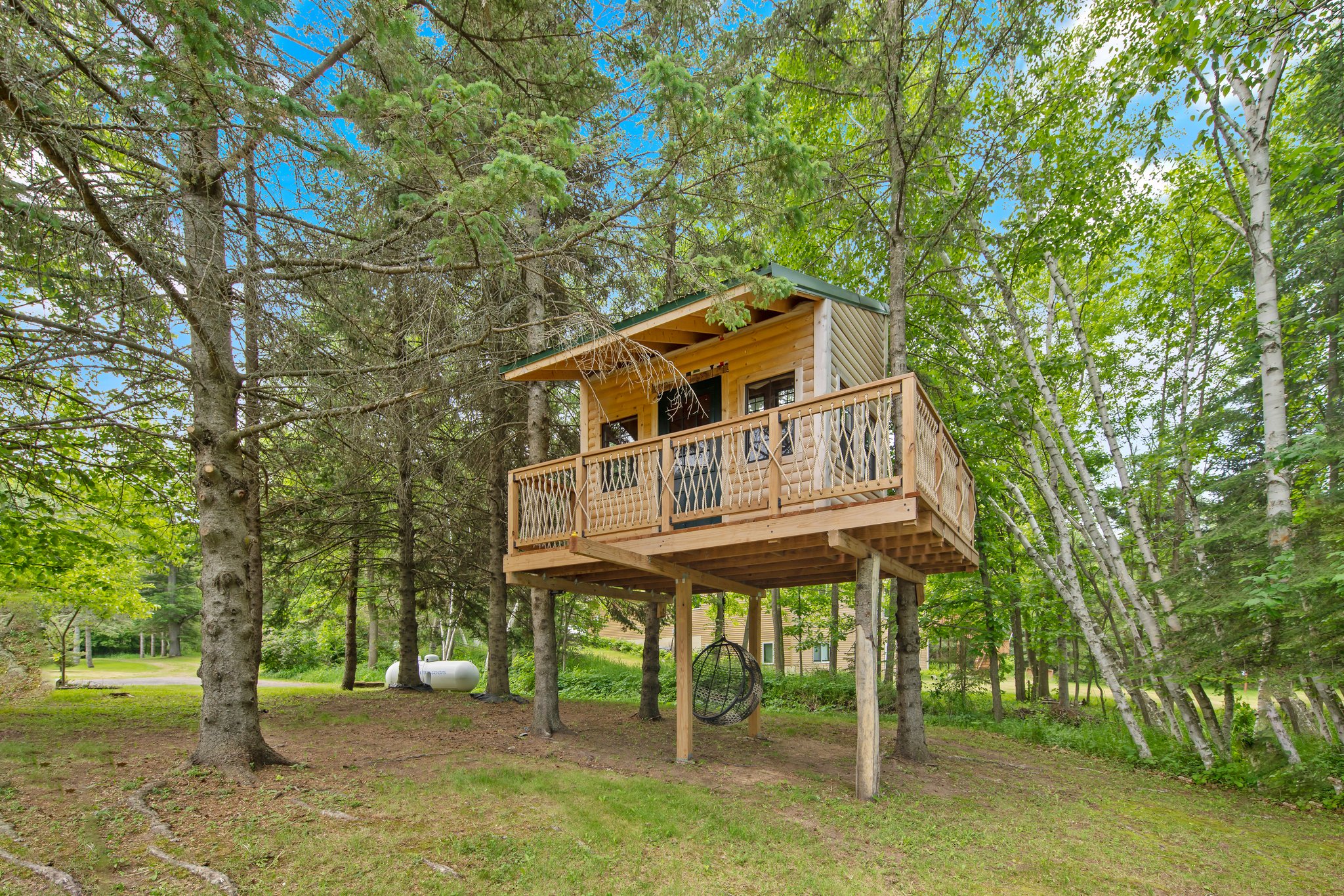 The Ultimate Tree House!