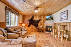 Family Room- Lower Level-Gas Fireplace