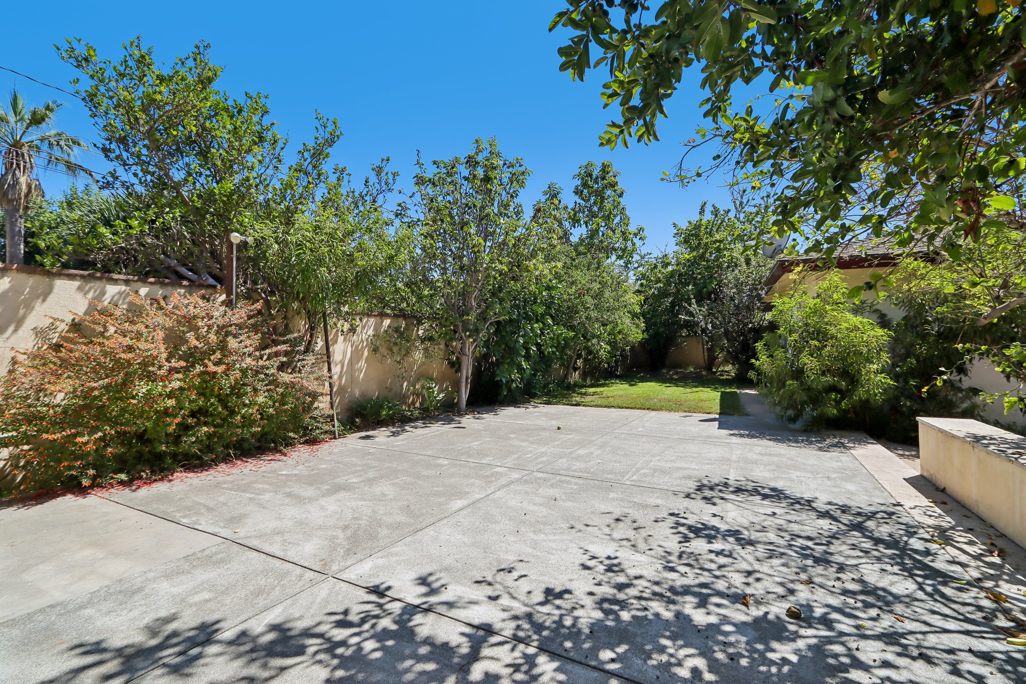 Newport Ave-S1507-026.jpg
