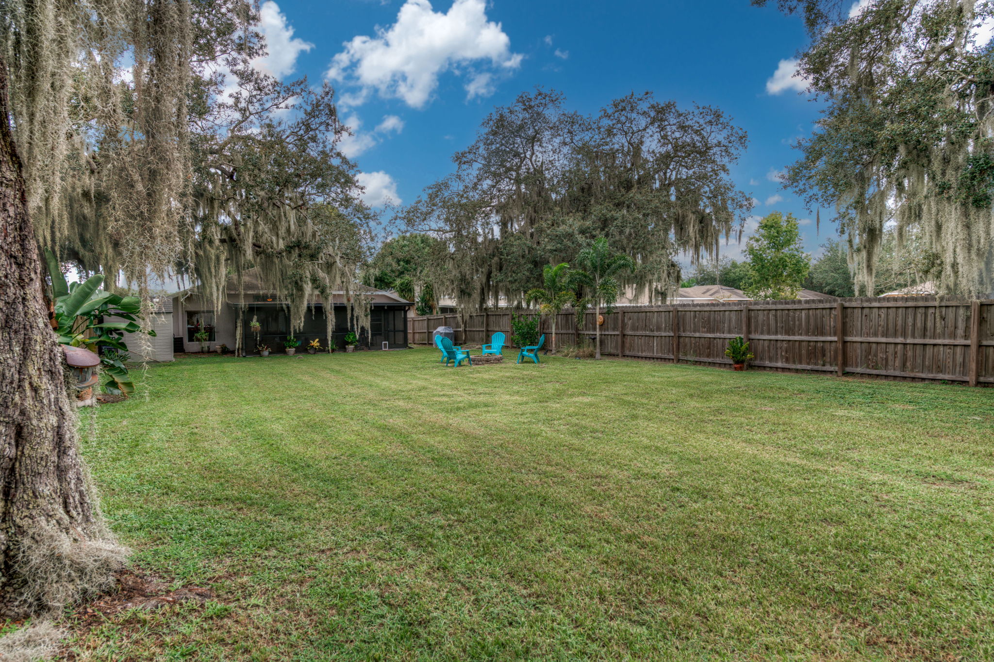 Backyard