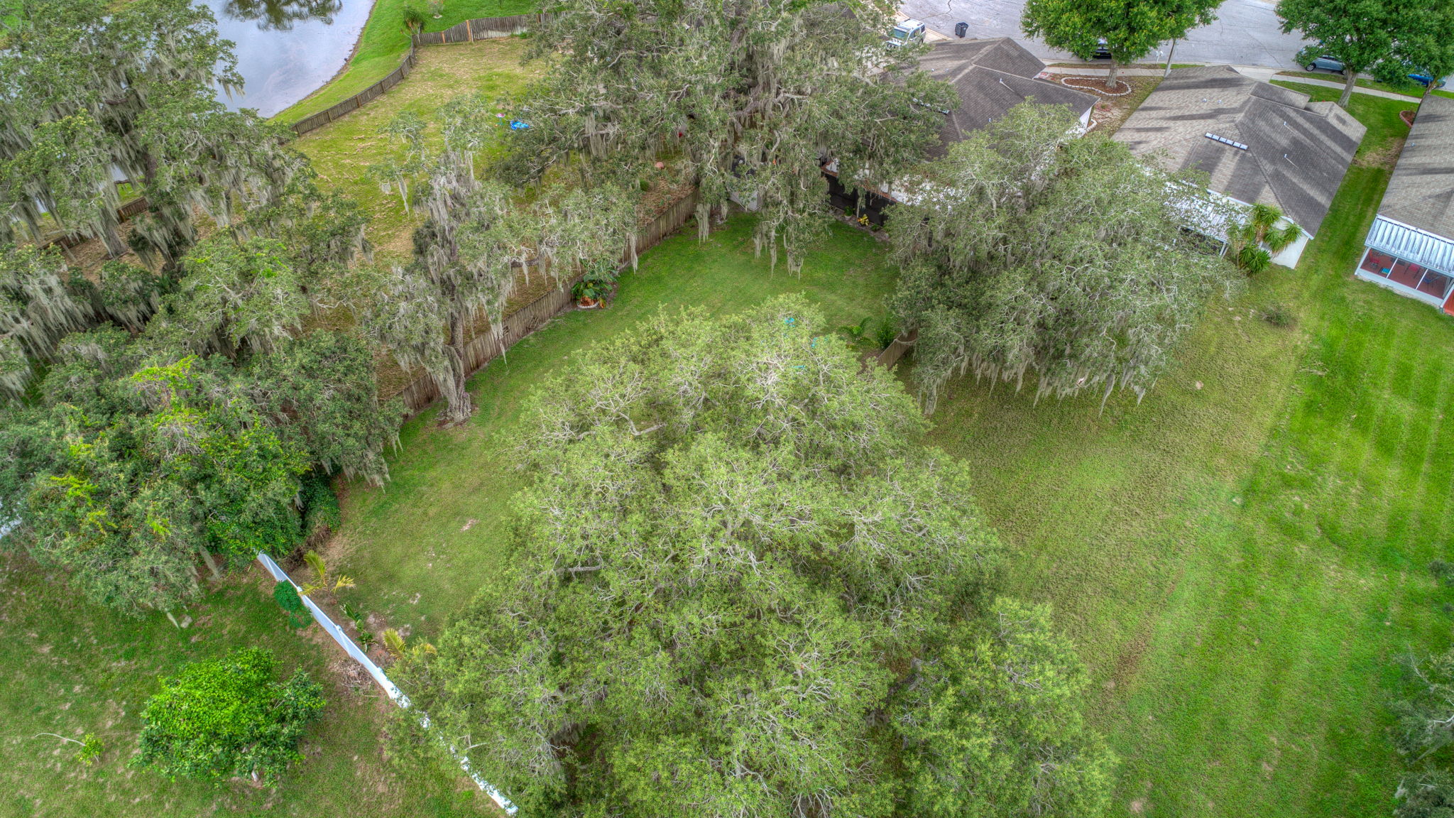 Aerial-Backyard