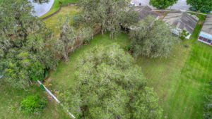 Aerial-Backyard
