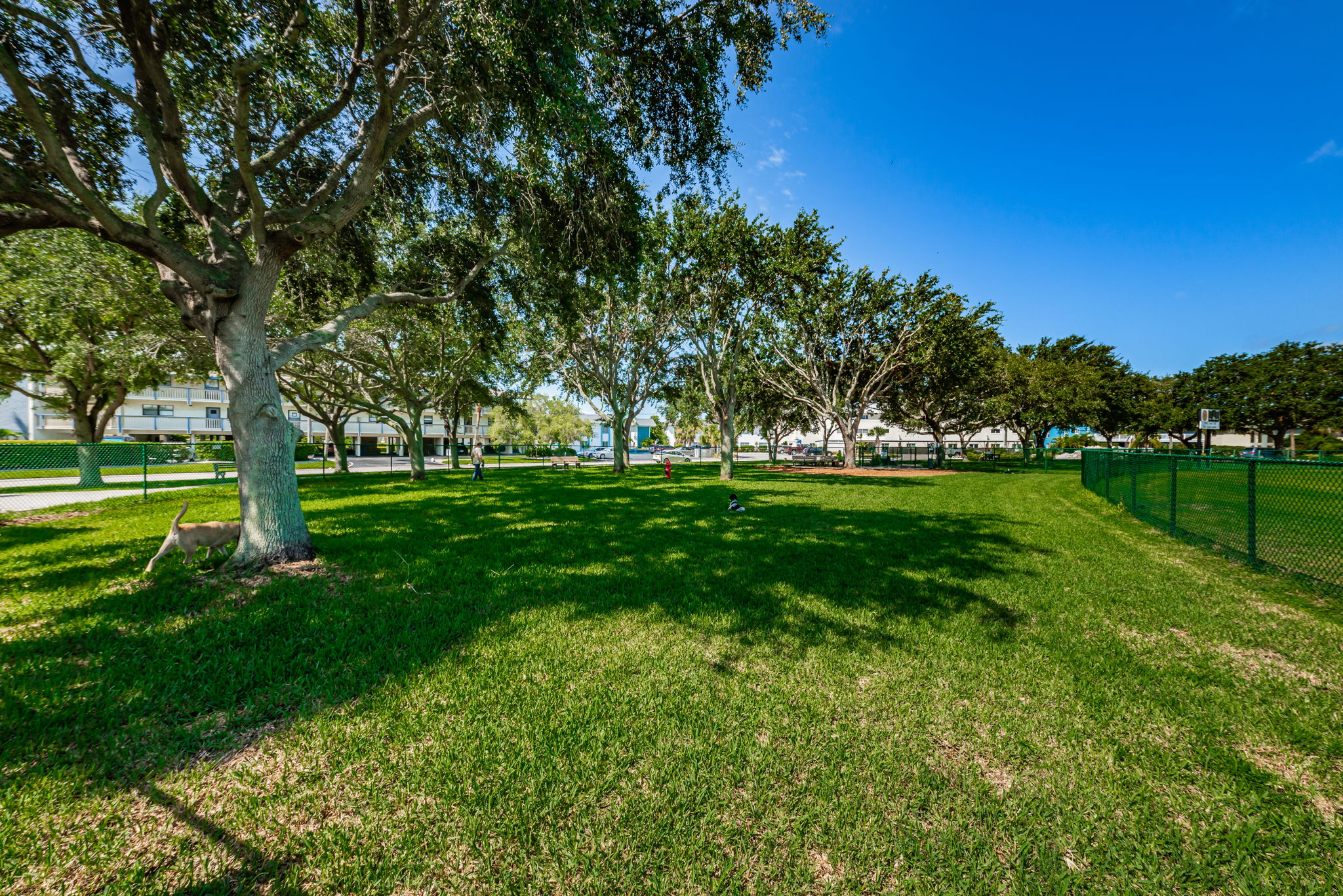 24-Rosselli Park Dog Park