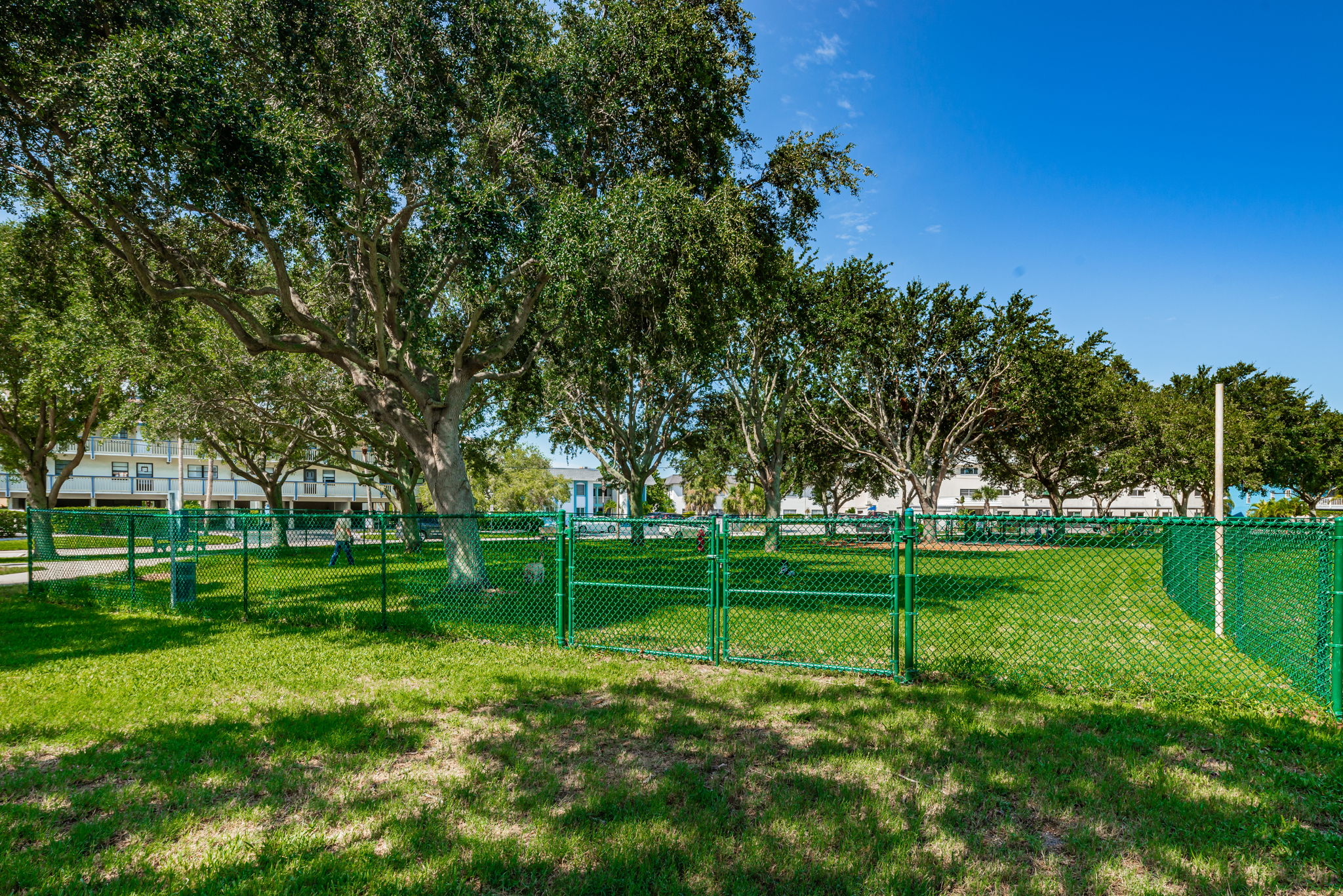 25-Rosselli Park Dog Park