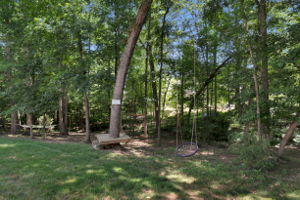  1232 Toteros Dr, Waxhaw, NC 28173, US Photo 35