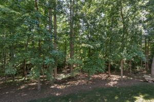  1232 Toteros Dr, Waxhaw, NC 28173, US Photo 40