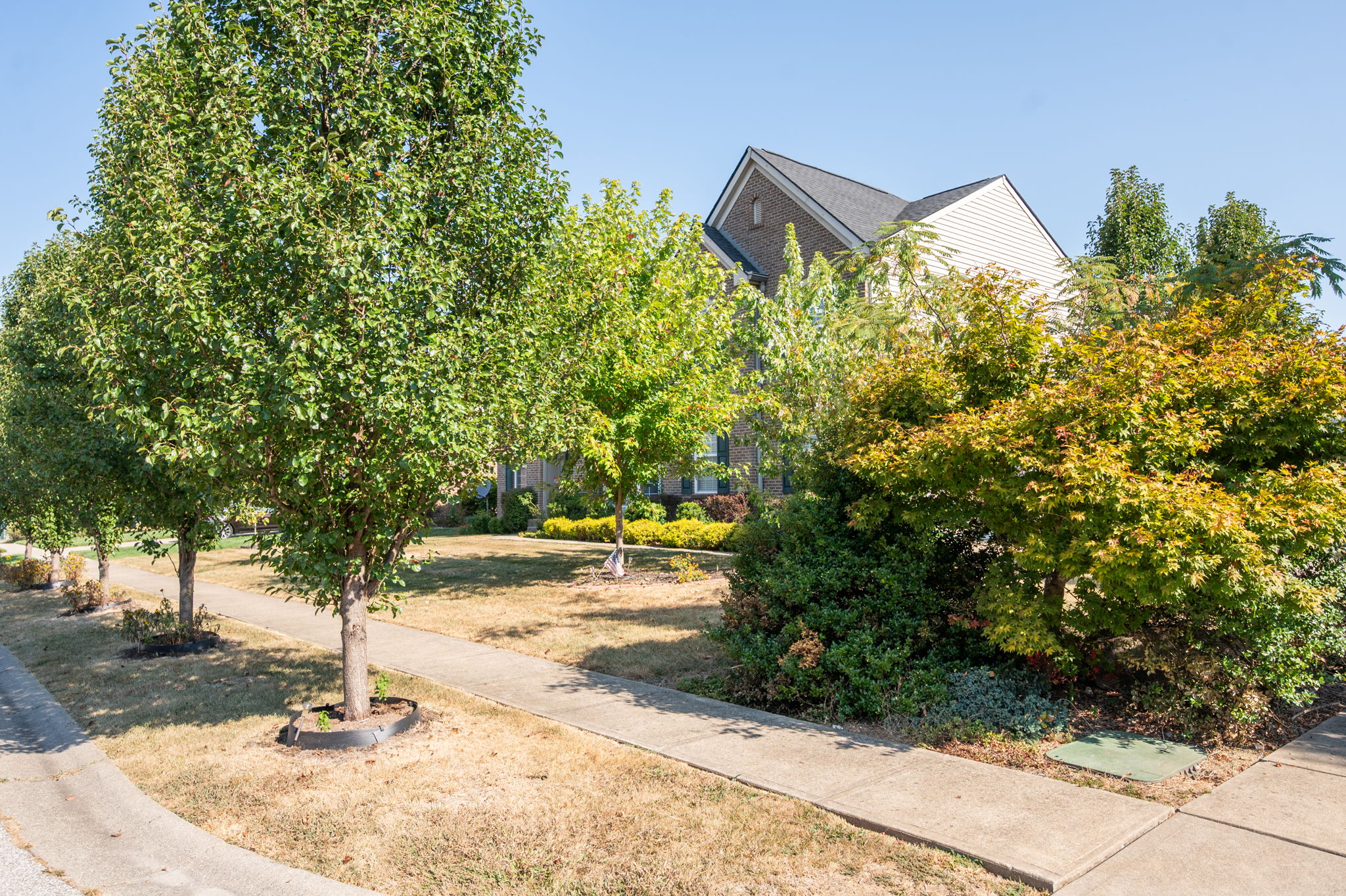 1232 Woodchase Trail-6811