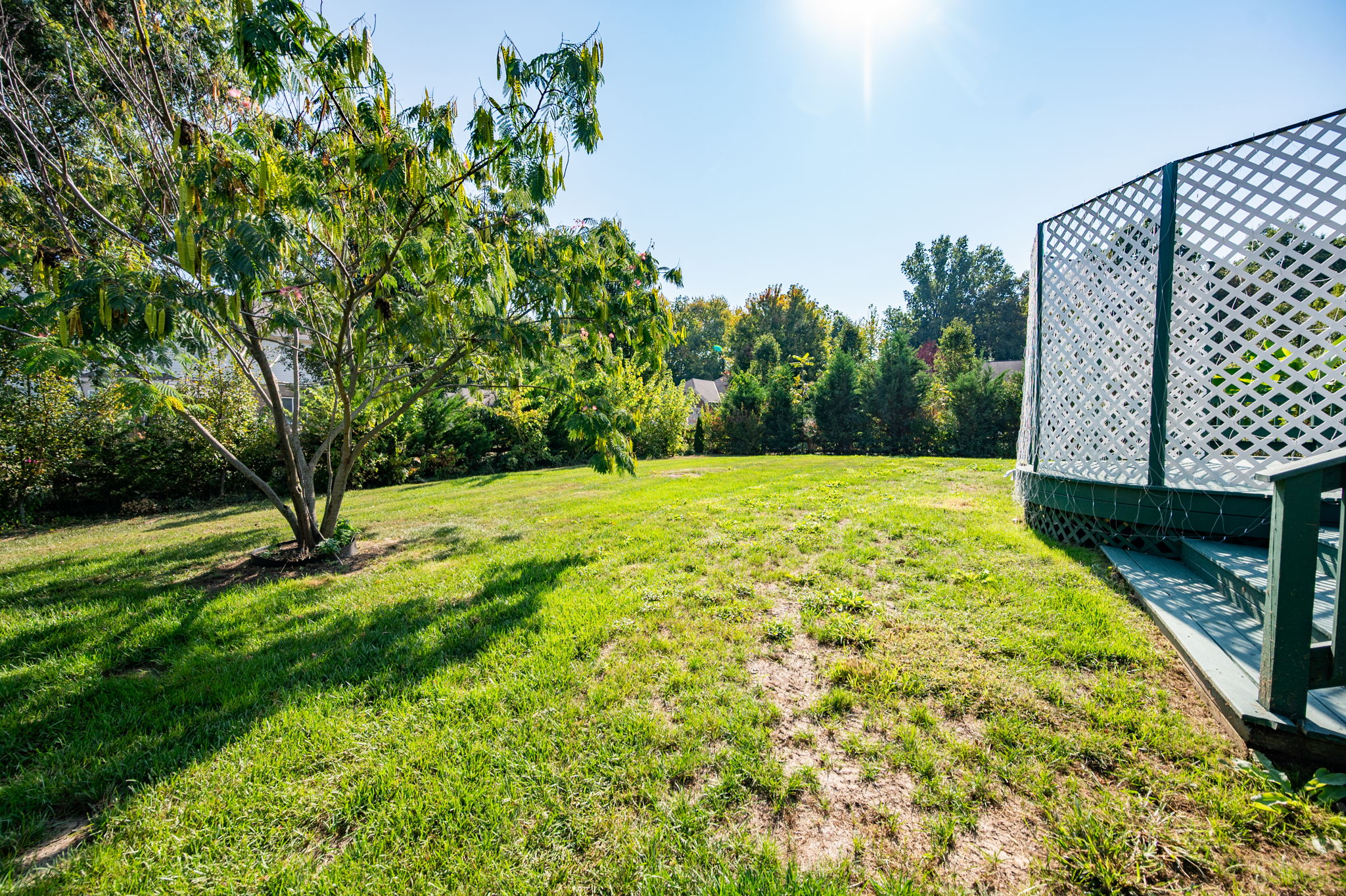 1232 Woodchase Trail-6817