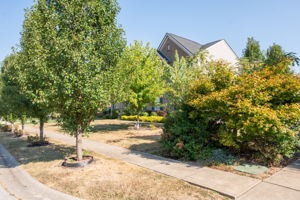 1232 Woodchase Trail-6811