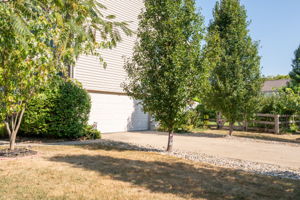 1232 Woodchase Trail-6812