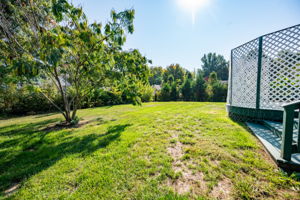 1232 Woodchase Trail-6817